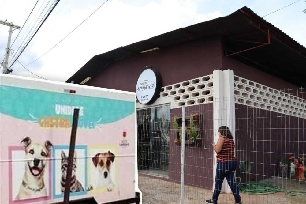 Sete Lagoas Castramóvel Volta Ao Bairro Montreal Com Castrações