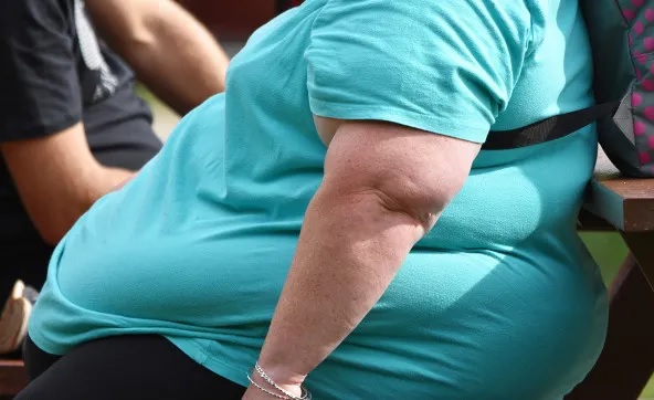 Obesidade Mudança De Hábitos E Estilo De Vida Podem Combater A Doença 6452